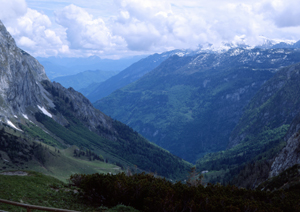 LINHOF MASTER TECHNIKA, APO-SIRONAR-S 5,6/135